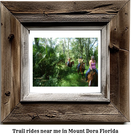 trail rides near me in Mount Dora, Florida